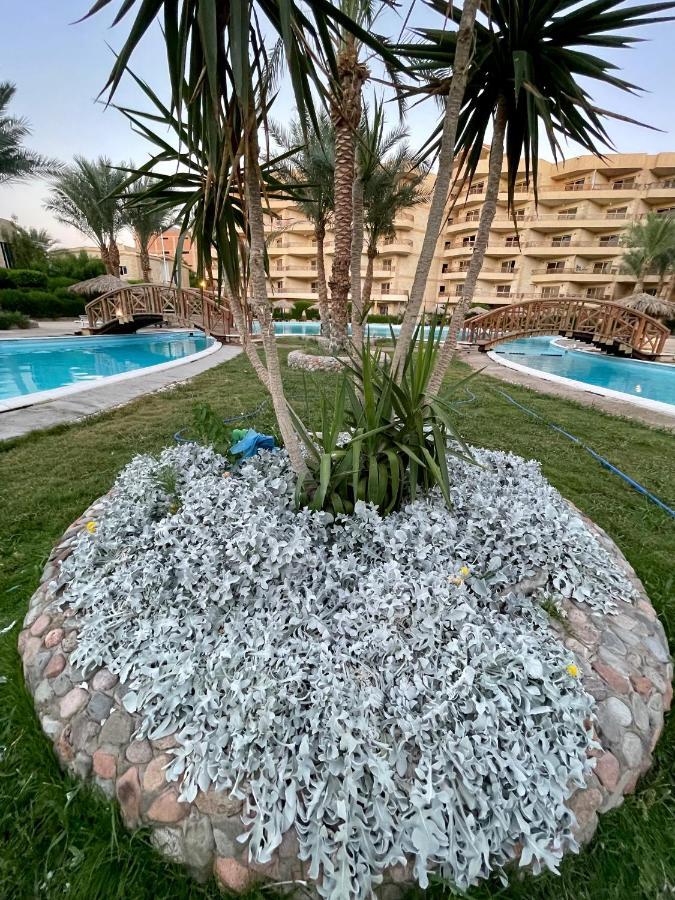 Chalet Palma Chalet K134